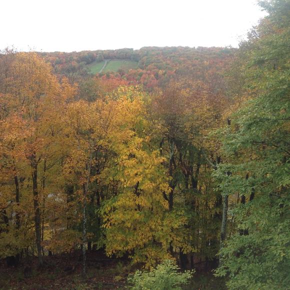 Meet your Posher, Jeanne sylvester - Picture 1 of 1